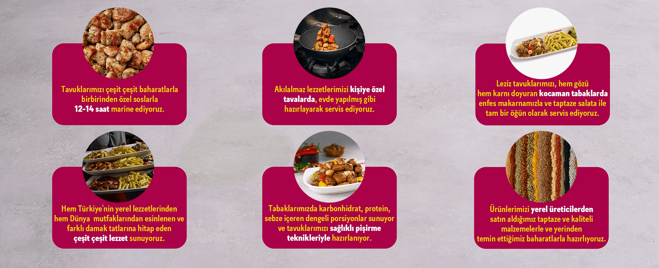Tavuk Dünyası