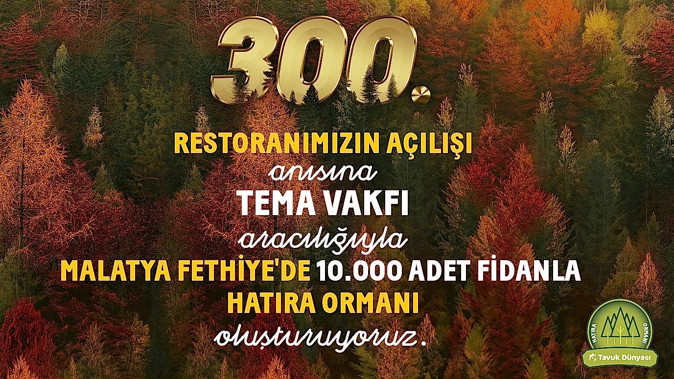 TEMA | Tavuk Dünyası 